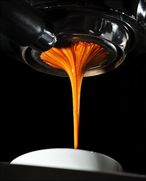 Legado de Altura & Pureza Orgánica:<br />
Nuestra raíz está en las montañas y volcanes de Guatemala, pero nuestra mirada es minimalista. Creemos en la honestidad del grano de especialidad (SHB), seleccionando cosechas de Antigua y Huehuetenango que destacan por su claridad y dulzor natural. Para nosotros, la calidad no necesita adornos: se manifiesta en la pureza de un perfil de taza limpio, cultivado con respeto a la tierra y servido con la transparencia que define nuestra esencia.